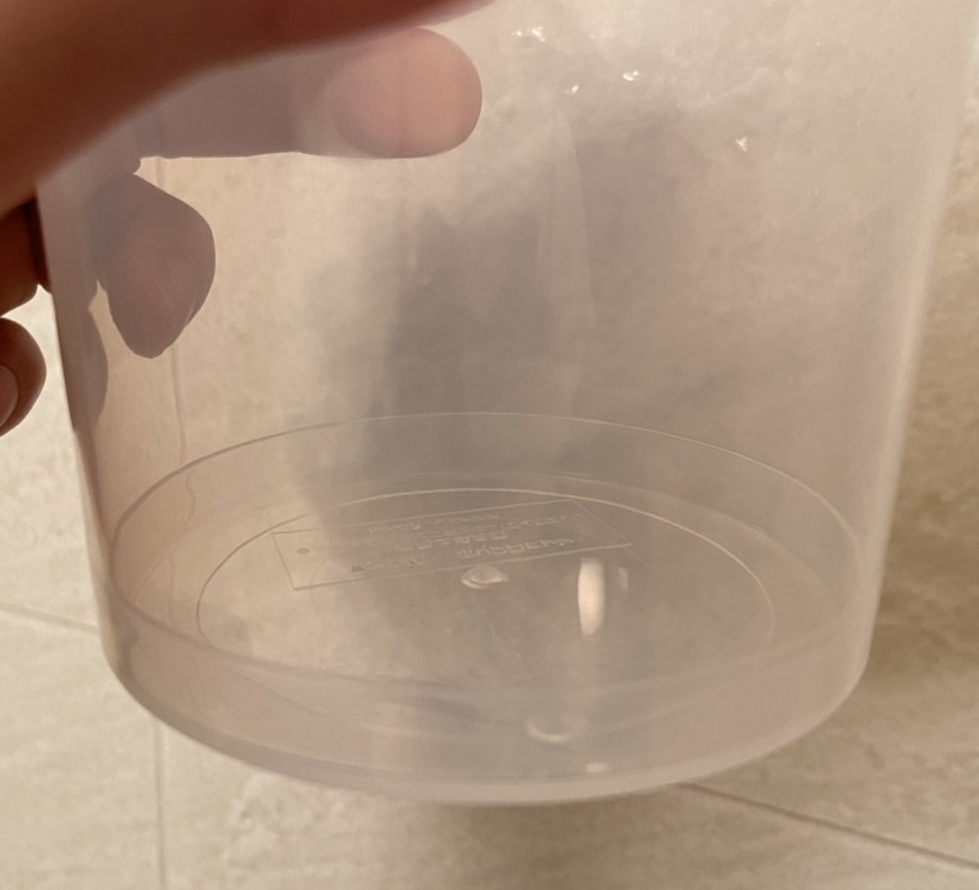 Daiso ほいっぷるんの口コミ テレビで紹介されてから気になって買った ホットペッパービューティーコスメ